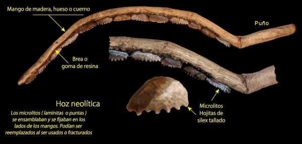 Vino prehistórico