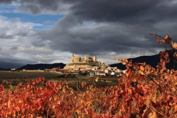 Rioja y Priorat