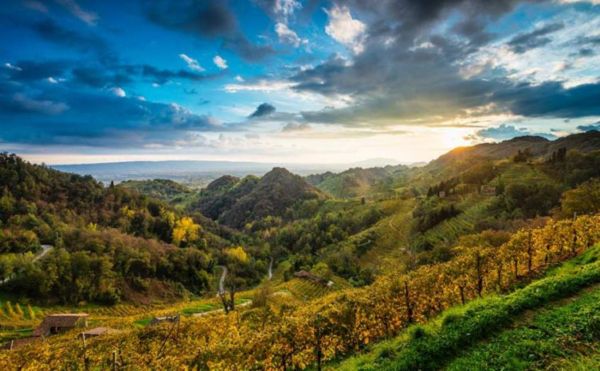 Rioja y Priorat