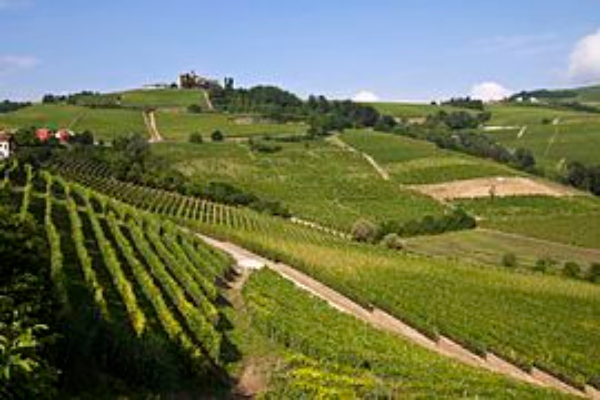 Rioja y Priorat