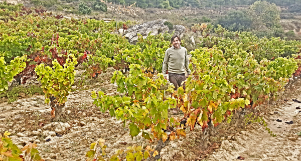 Telmo Rodríguez