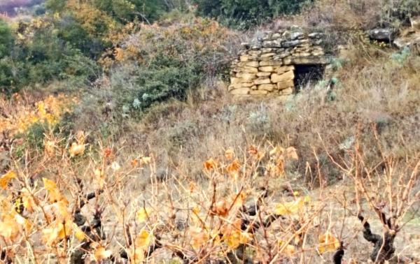 Guarda-Vinas