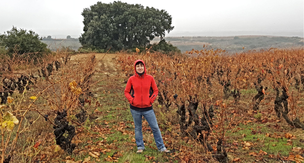 Llueve-Vina