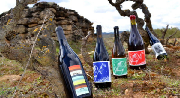 Los-Cinco-Vinos