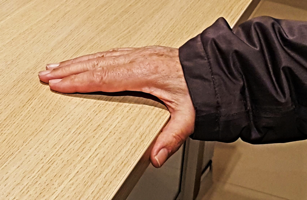 Mano-Labradora