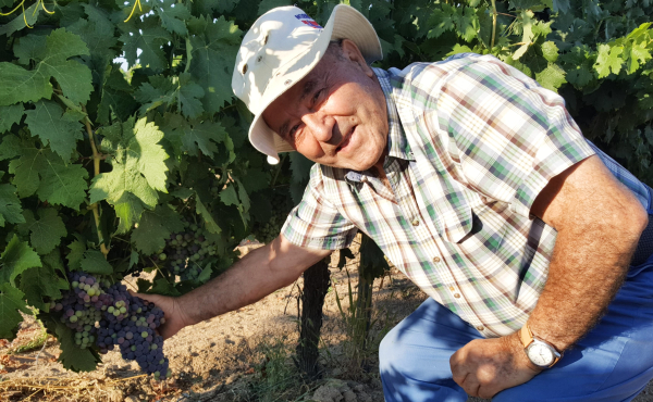 Ramon-vina