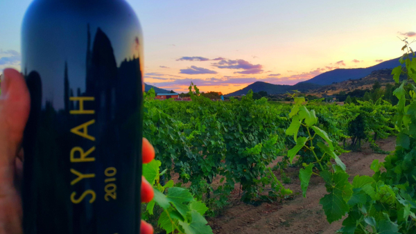 Syrah-Sol-Va
