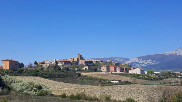 Cambio climático de Rioja Alavesa