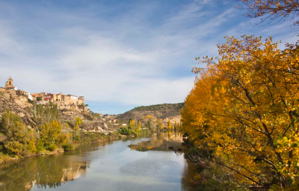 Primavera en Rioja Alavesa