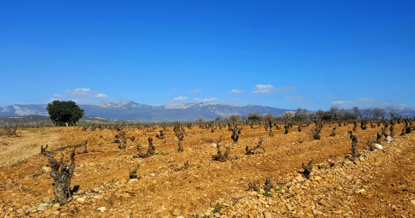 Cambio climático de Rioja Alavesa