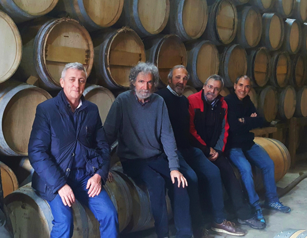Ruta del Vino de Rioja Alavesa