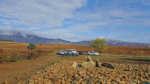 Ruta del Vino de Rioja Alavesa