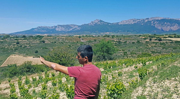 Tentenublo Wines
