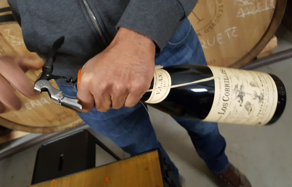 Tentenublo Wines