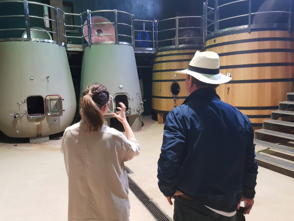 Bodegas Amaren