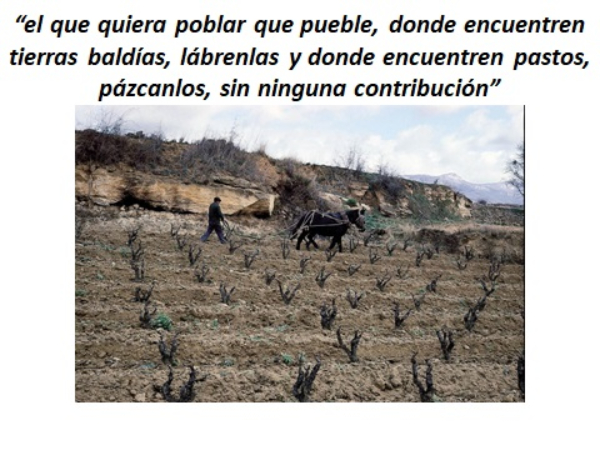Viana y Rioja Alavesa