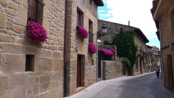 Viñas de Rioja Alavesa