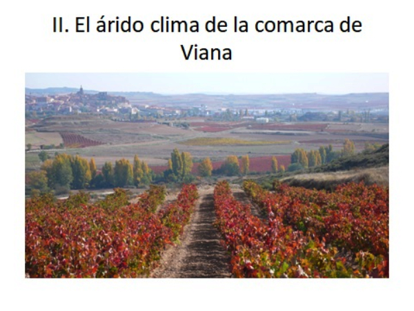 Viana y Rioja Alavesa