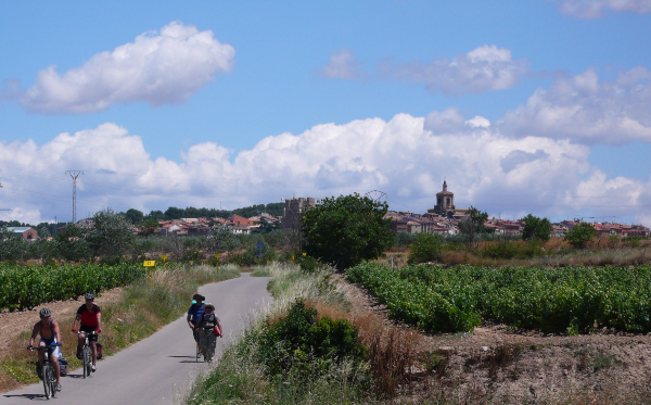 Viana y Rioja Alavesa