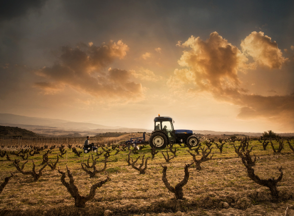 Tentenublo Wines