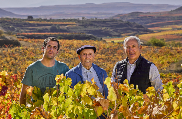 Bodegas Amaren