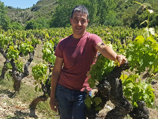 Tentenublo Wines