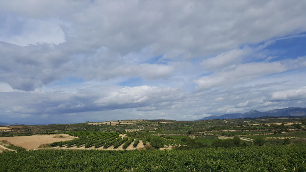 Bodegas Fernández de Piérola Bodegas Fernández de Piérola