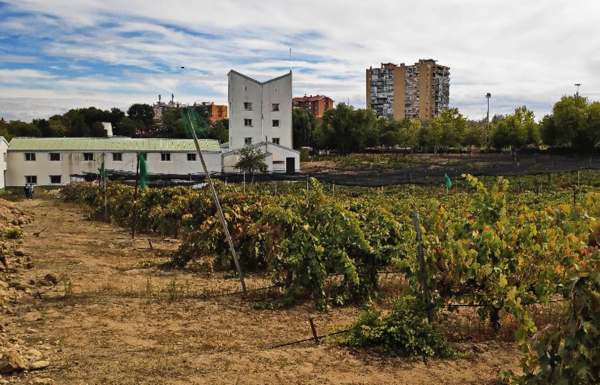 Bodegas Zugober