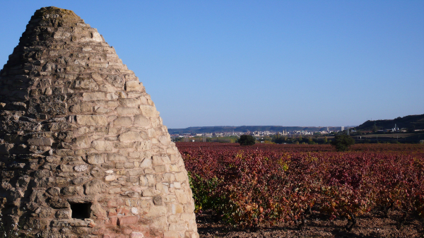 Logroño y Rioja Alavesa