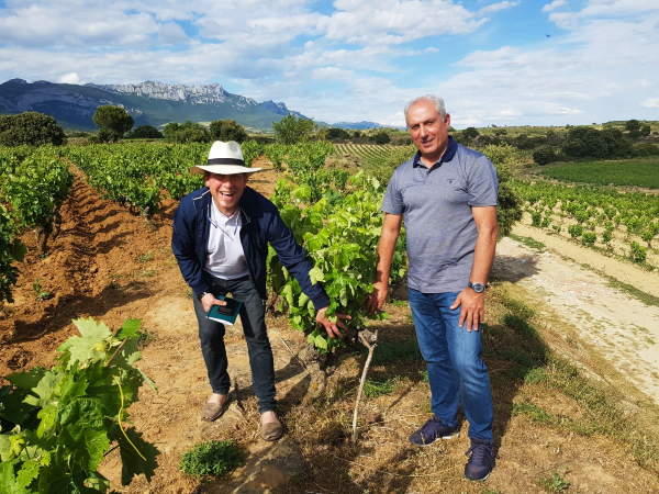 Bodegas Amaren
