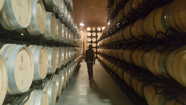 Bodegas Fernández de Piérola Bodegas Fernández de Piérola