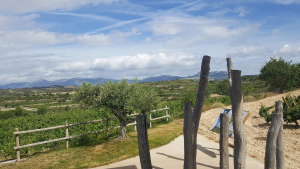 Bodegas Fernández de Piérola Bodegas Fernández de Piérola