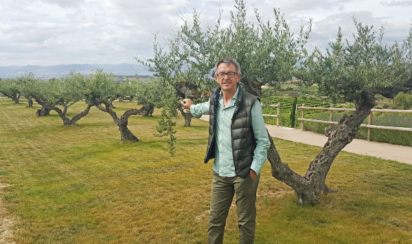 Bodega Fernández de Piérola Bodega Fernández de Piérola