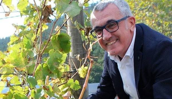 Viñedos singulares de Rioja Alavesa