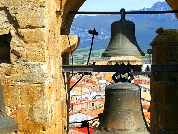 Viñedos singulares de Rioja Alavesa