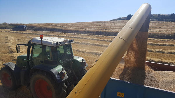 REMOLQUE-LLENO