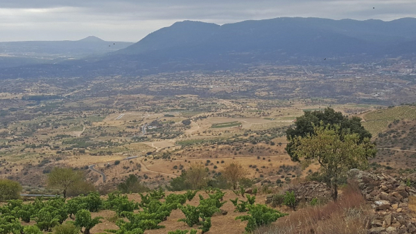 Cerro-Guisando