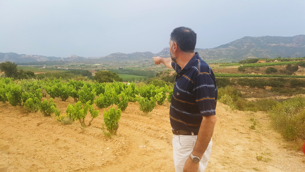 ENSENA-VINA
