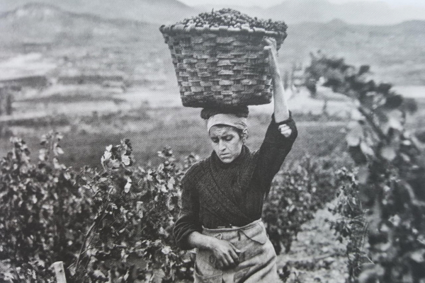 Jorna-Lera