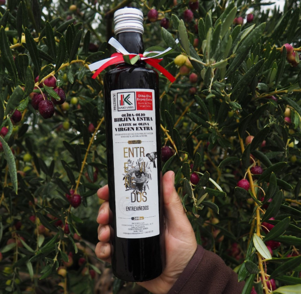 Aceite de oliva virgen extra en Rioja Alavesa