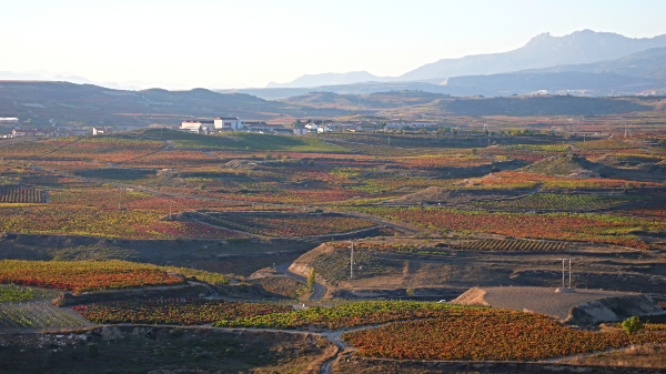 Cualidades de Rioja Alavesa
