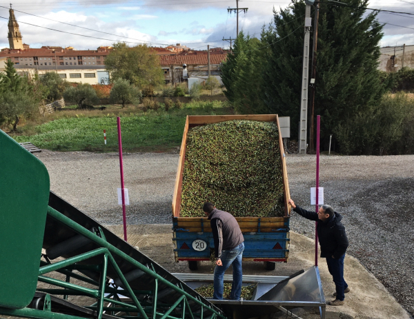 Olivocultores de Rioja Alavesa Olivocultores de Rioja Alavesa