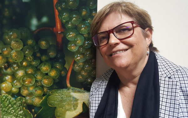 Instituto Vasco de Investigación y Desarrollo Agrario