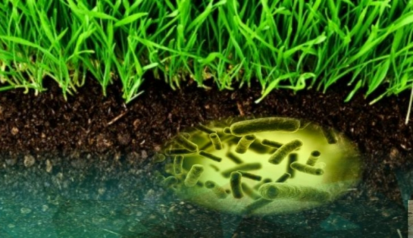 Instituto Vasco de Investigación y Desarrollo Agrario