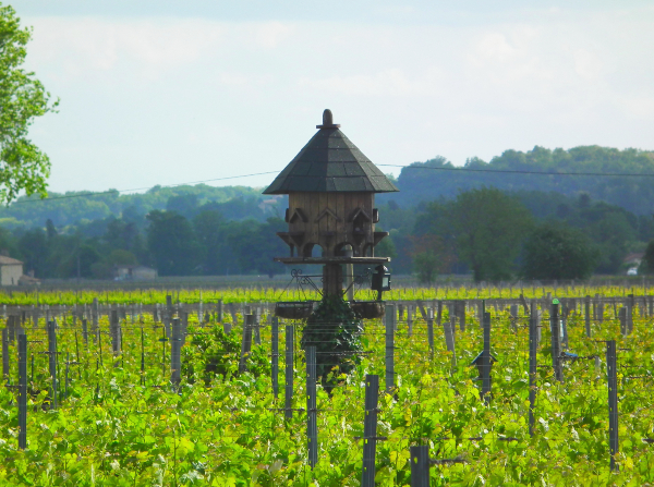 Paisaje Cultural Vitícola de la Jurisdicción de Saint-Emilion