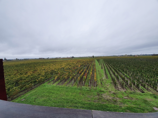 Paisaje Cultural Vitícola de la Jurisdicción de Saint-Emilion