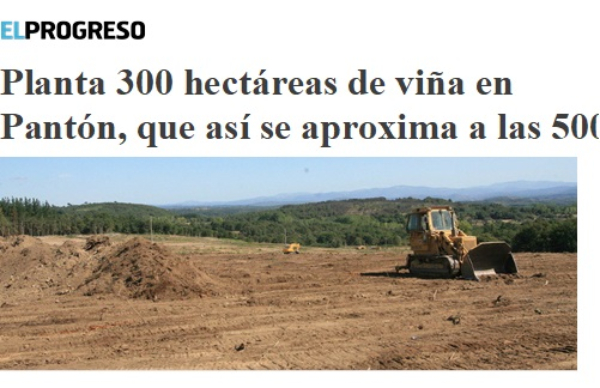 Ribeira Sacra