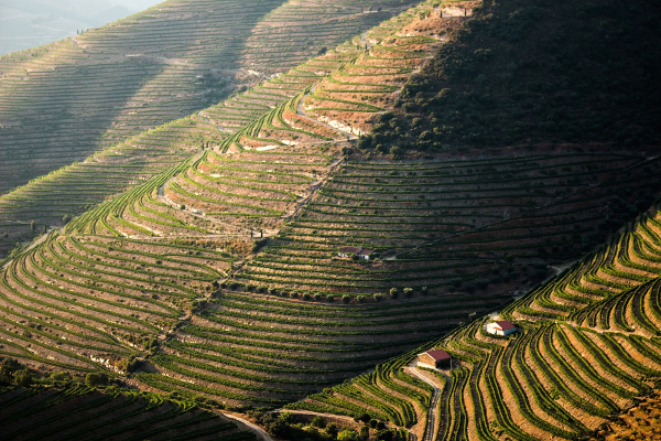 Ribeira Sacra