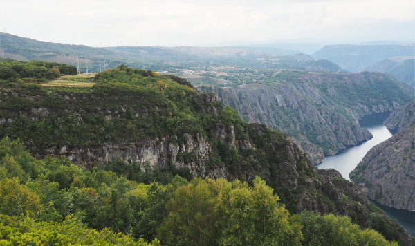 Ribeira Sacra