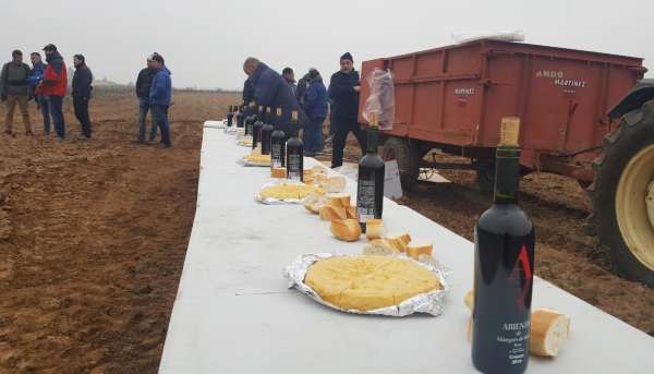 Concurso de poda en Rioja Alavesa Concurso de poda en Rioja Alavesa